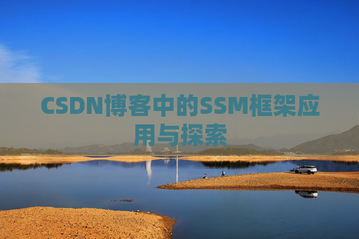 CSDN博客中的SSM框架应用与探索