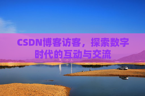 CSDN博客访客，探索数字时代的互动与交流